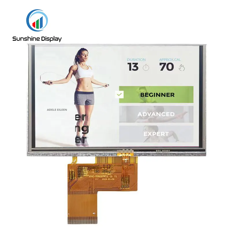 SDT050BWSI-02P 5.0 inch Wide Temperature TFT Display| IPS TFT LCD Module|Standard TFT LCD Module Back View