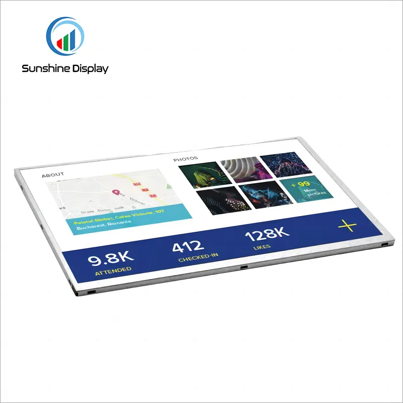 SDT101QWXH-04 10.1 inch Standard TFT LCD Module| IPS TFT LCD Module Detail View