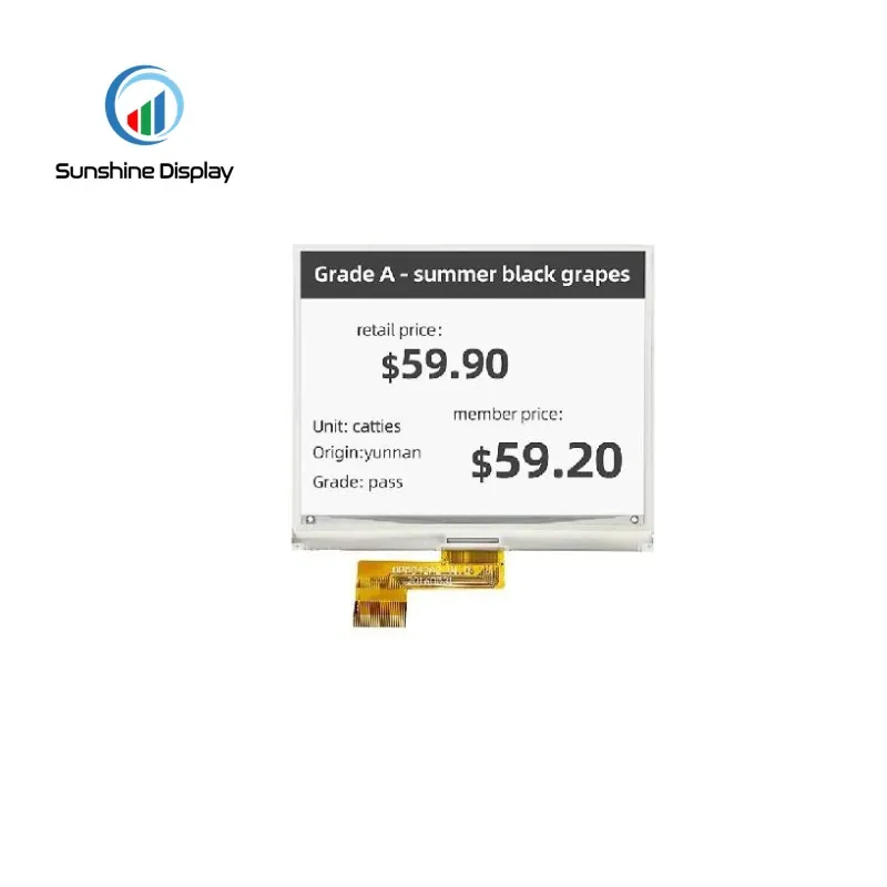 SDE0420NQN-39 E-paper Display Front View